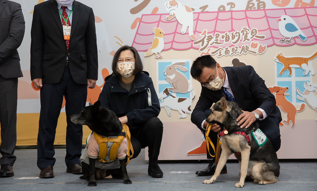 分析/用鐵鍬擊殺柯基犬事件暴露中國空有物質進步 內在心靈待升級 84 總統蔡英文4月3日上午出席「農委會寵物管理科動起來啟用儀式」。
