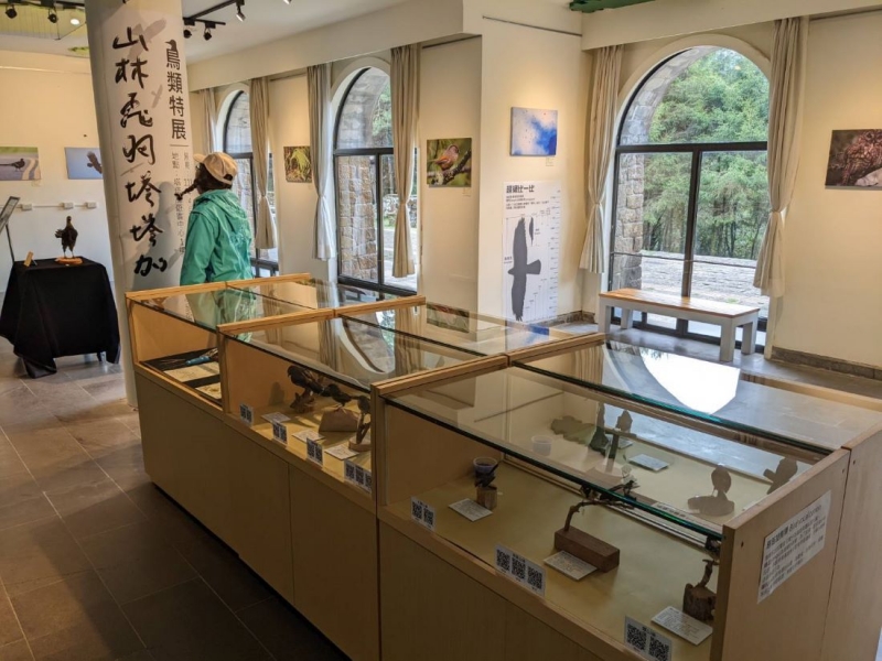 見聞山林飛羽 塔塔加遊客中心鳥類特展饗宴登場