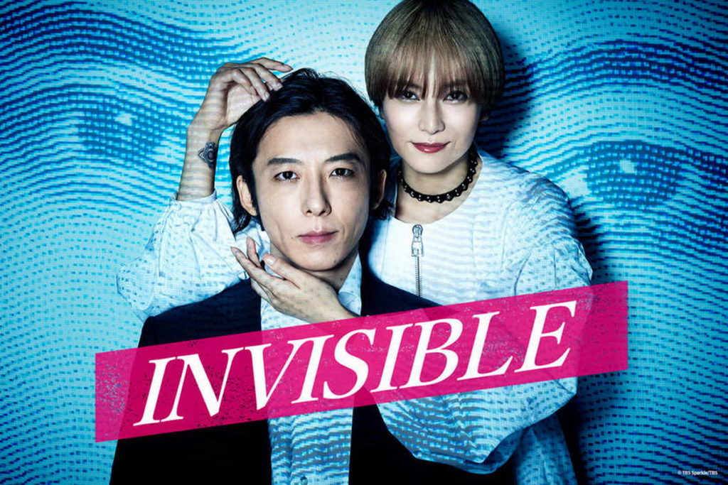NVISIBLE