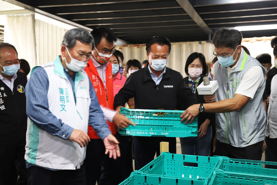 嘉義縣鳳梨外銷順暢 跨境物流籃助攻日本市場