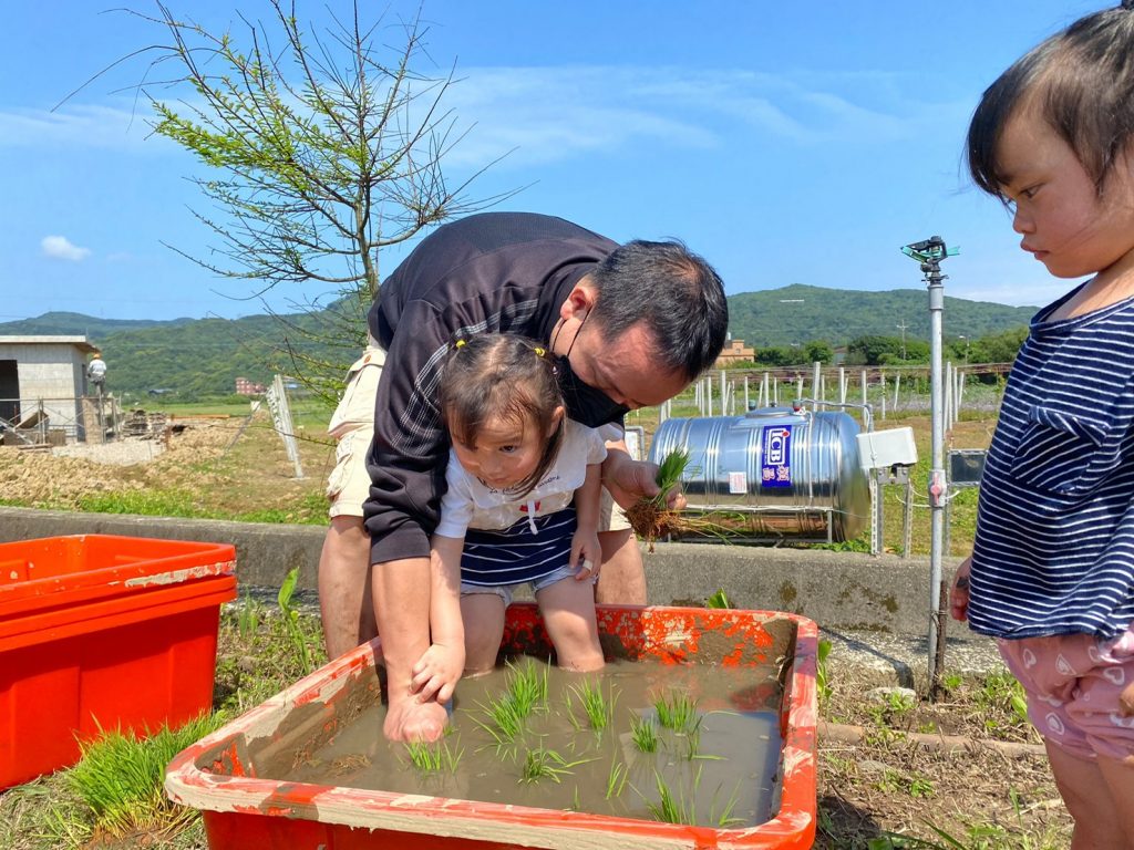 每年3到4月,是新北市金美國小附幼第一個土地大事—「插秧季」(資料照)