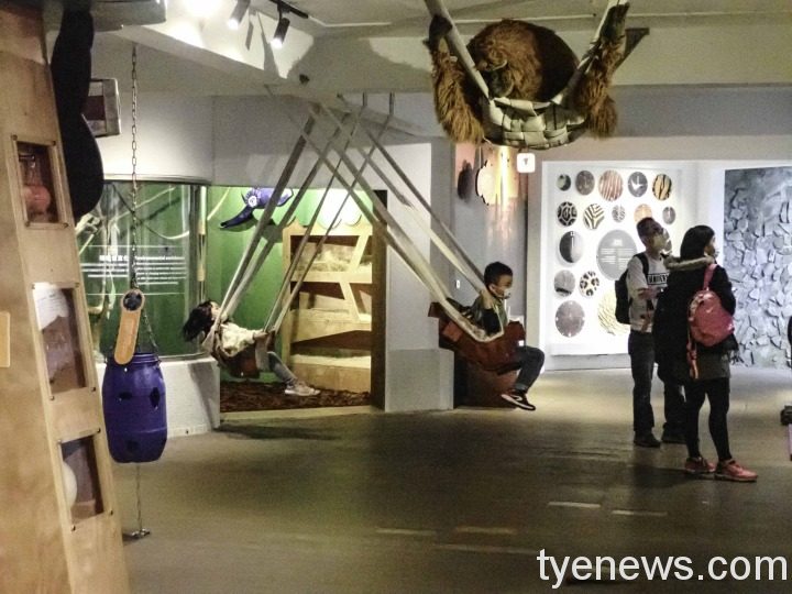 保育員與動物鬥智鬥勇 全為維護動物福祉 12 動物福祉小站希望以實體展示及體驗參與的方式,讓民眾了解動物園在維護動物福祉上的