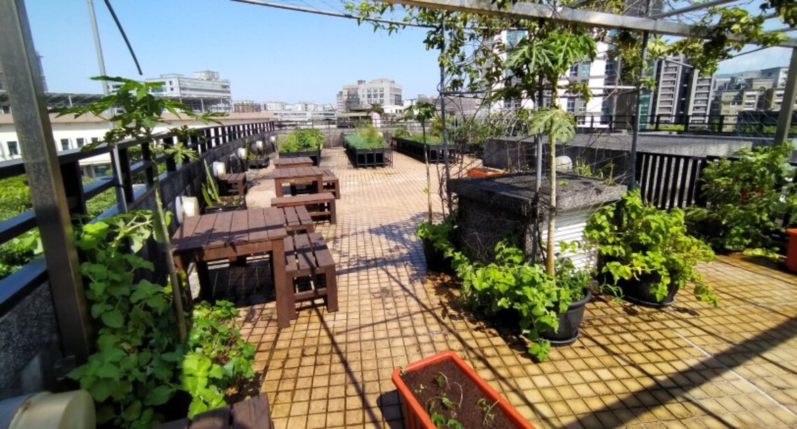 北原會館綠屋頂農園 試辦開放市民參觀並提供導覽服務