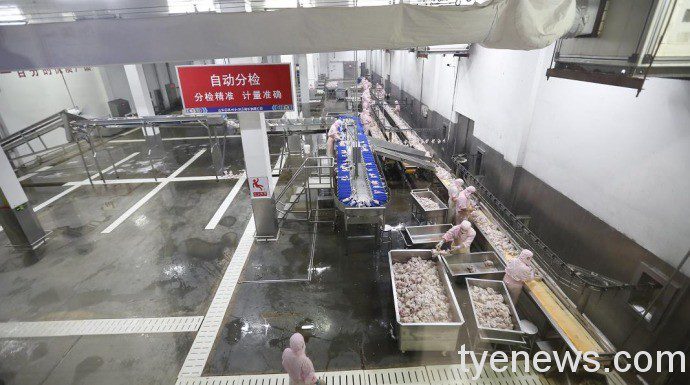 中華第一雞!山東德州扒雞 康熙帝御封「神州一奇」 25 德州扒雞1