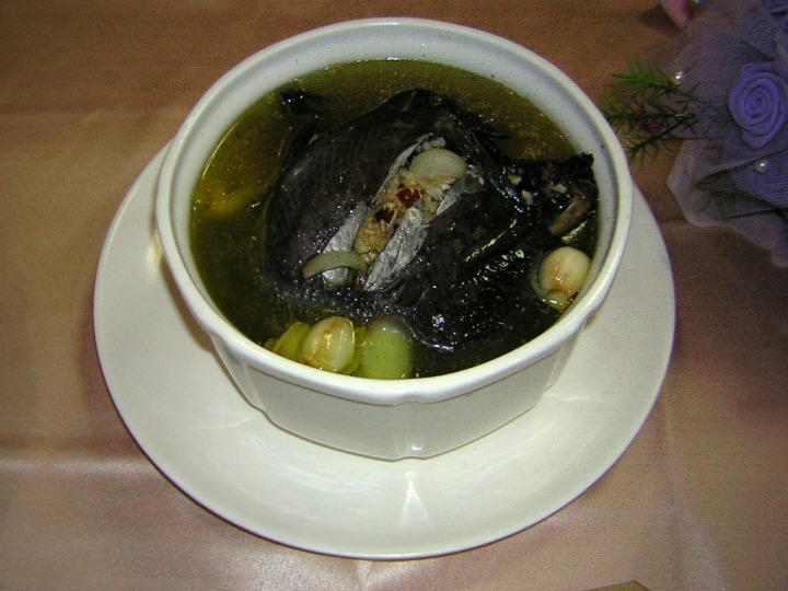 北榮桃分院「藥膳燉烏雞」助您養生過好年 12 養生食補年菜照片一