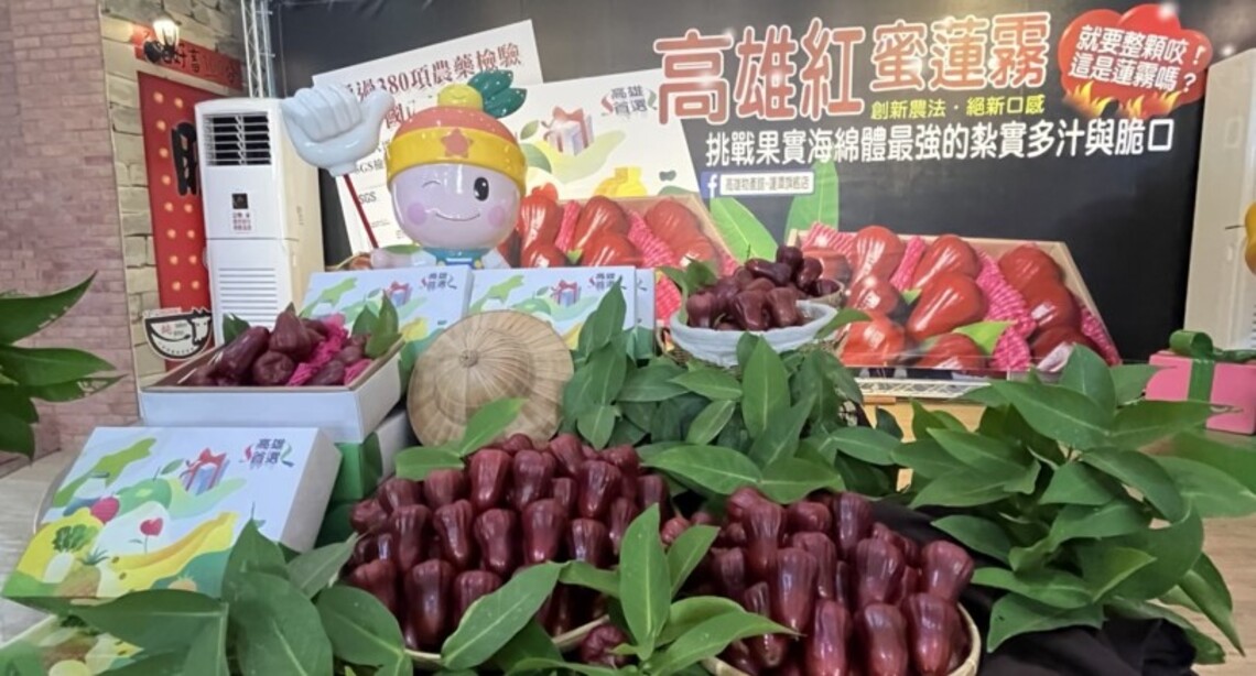 高雄首選紅蜜蓮霧創新農法果實海綿體超升級高紮實、更多汁、更爽甜    超過想像力的蓮霧口感
