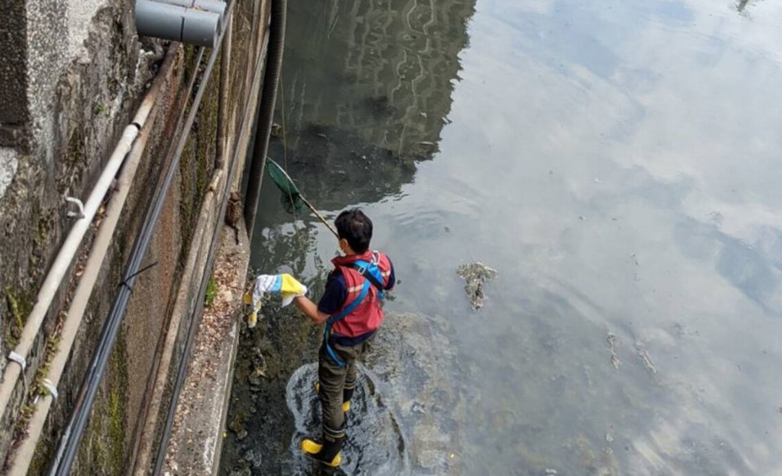 幼貓受困5米深大排水溝    新北動保處架繩梯救援