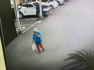 婦人拎布袋到派出所求救 袋內竟是一尾「眼鏡蛇」。記者爆料網提供