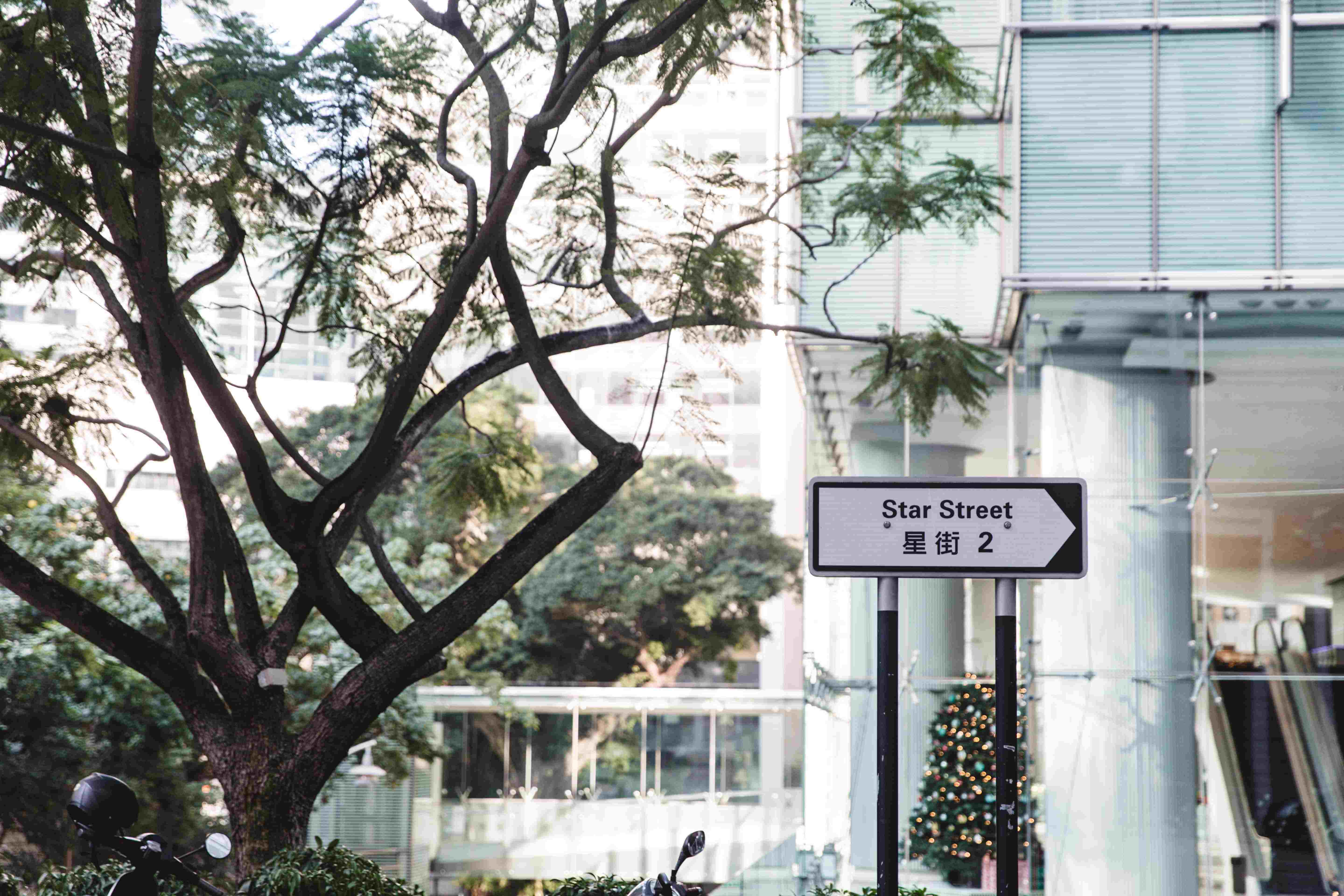 星街小區Brew · Chill · Grab a Bite  與您一起小休！ 一覽小區內的咖啡店及餐廳最新優惠及堂食/消費券情報！ 人氣抹茶店Matchali 首間旗艦店六月進駐星街小區