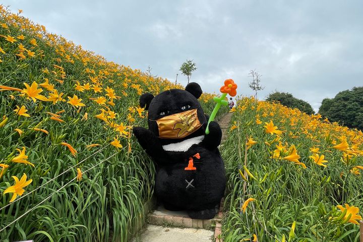 喔熊組長虎山巖出任務 邀媽媽來看金針花