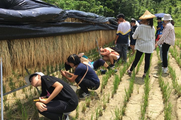 「日晒米屋─鹿光米」堅持幾倍工 只為成就令人讚嘆的米飯