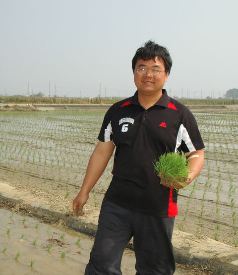 友善耕種/產銷履歷達人自產自銷「江山米」 堅持無農藥生態農法