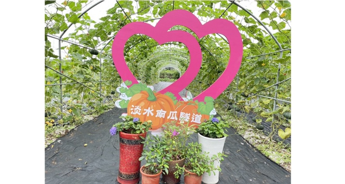 南瓜產季期間限定   淡水秘境賞美景、嚐健康