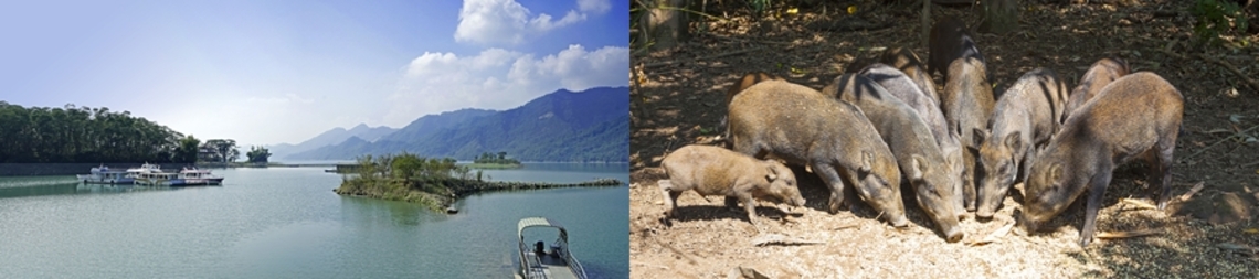 全台獨ㄧ無二秘境玩法!嘉義大埔遊水庫、賞老鷹、看山豬、釣魚趣