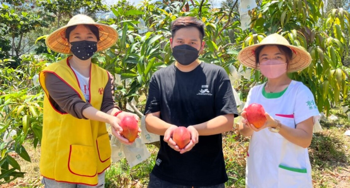 植愛放光芒  護師節採果趣