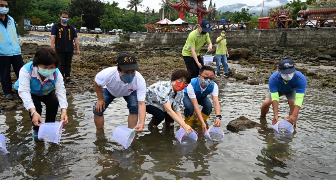 富山漁業資源保育區完成首例污水管線接管 杉原灣今再放流2.4萬尾魚苗 維護生態環境