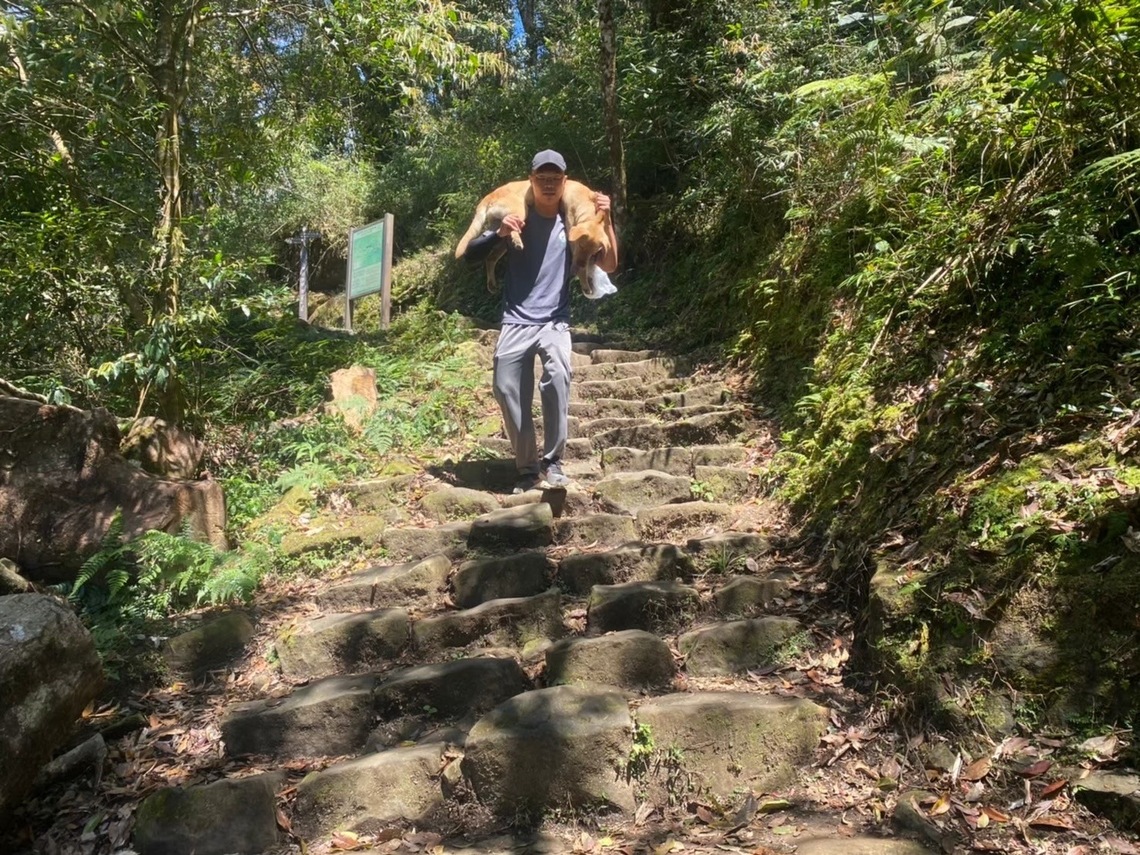 嘉義縣動保隊大凍山救援揹狗2小時下山,乖巧浪犬大黃盼愛心認養