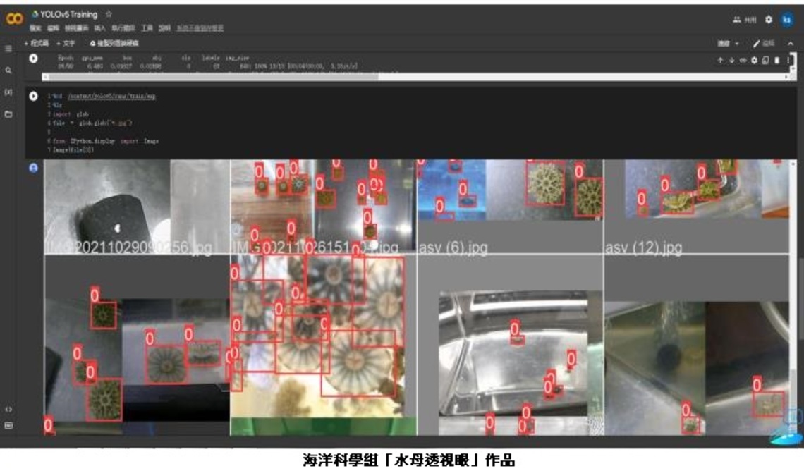 2022年全國科學探究競賽 - 這樣教我就懂 全國30件決賽名單揭曉