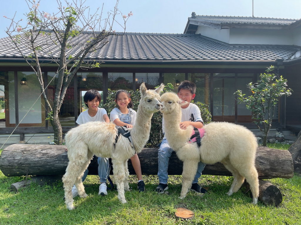 羊駝可可及露露深受小朋友們的喜愛,購買客房一泊二食、Villa、露營車住宿券即贈萌寵餵食體驗。