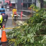 ▲梅雨季雨勢不止,14日早上,台中市東興路口路樹斷裂於車道上,員警以交通錐及封鎖線警戒 (圖/台中市警察局 提供)