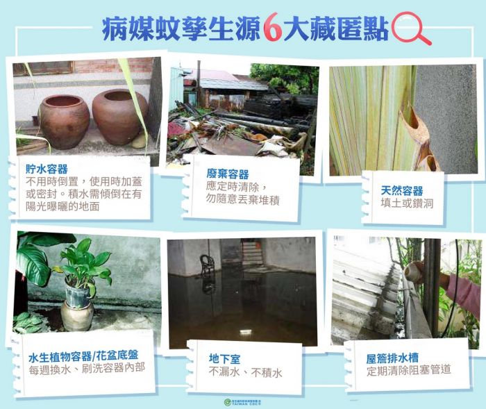 平時做好巡、倒、清、刷 防範登革熱等蚊媒傳染病威脅