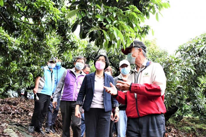 彰化荔枝及龍眼災損嚴重 縣府爭取全縣列天然災害救助現金補助地區