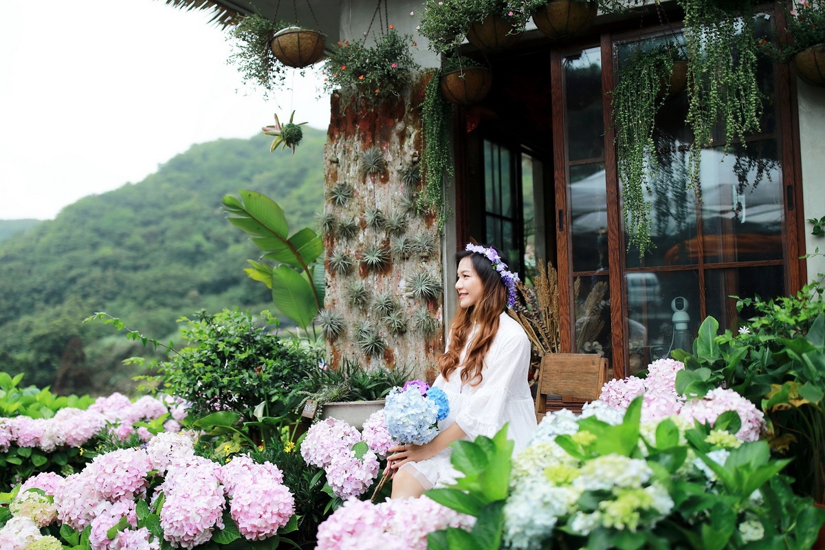 曹家花田香(非目前花況,圖片來源北投區農會)
