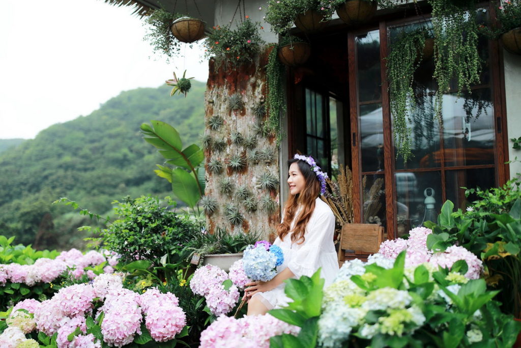 曹家花田香(非目前花況,圖片來源北投區農會)