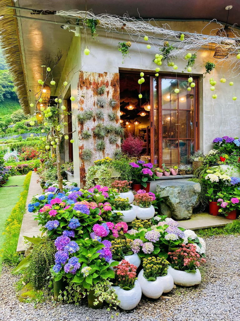 曹家花田香的小屋花牆前是「必拍景點」,屋內還有手作的多款夢幻乾燥花束