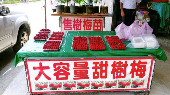 夏日解暑聖品 八里樹梅甘甜好滋味
