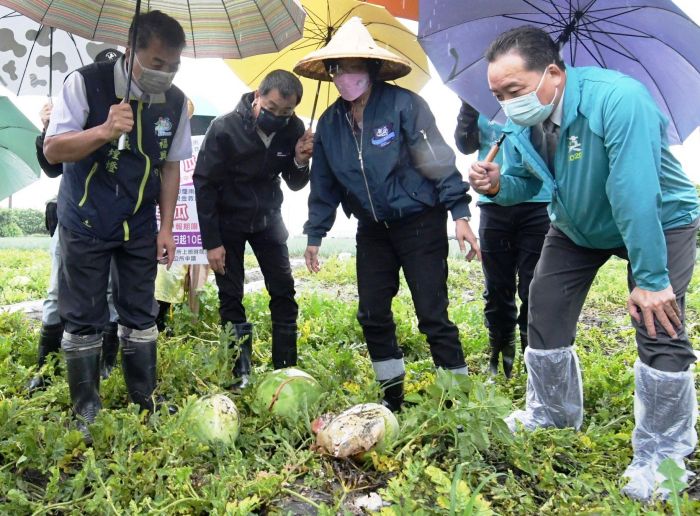彰化縣荔枝、龍眼、西瓜受損嚴重 農委會同意列現金救助地區