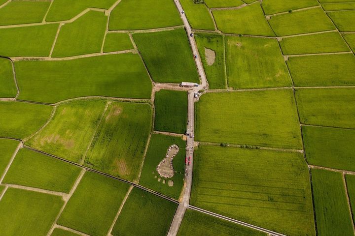 花蓮織羅部落,稻田腳印餐桌。 圖:花東縱谷國家風景區管理處/提供