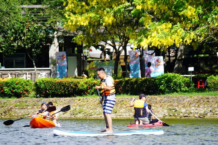 來賞夢幻黃金雨 虎頭埤阿勃勒花季5/21浪漫登場