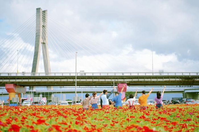 愛戀水漾!百花綻放新北大都會公園