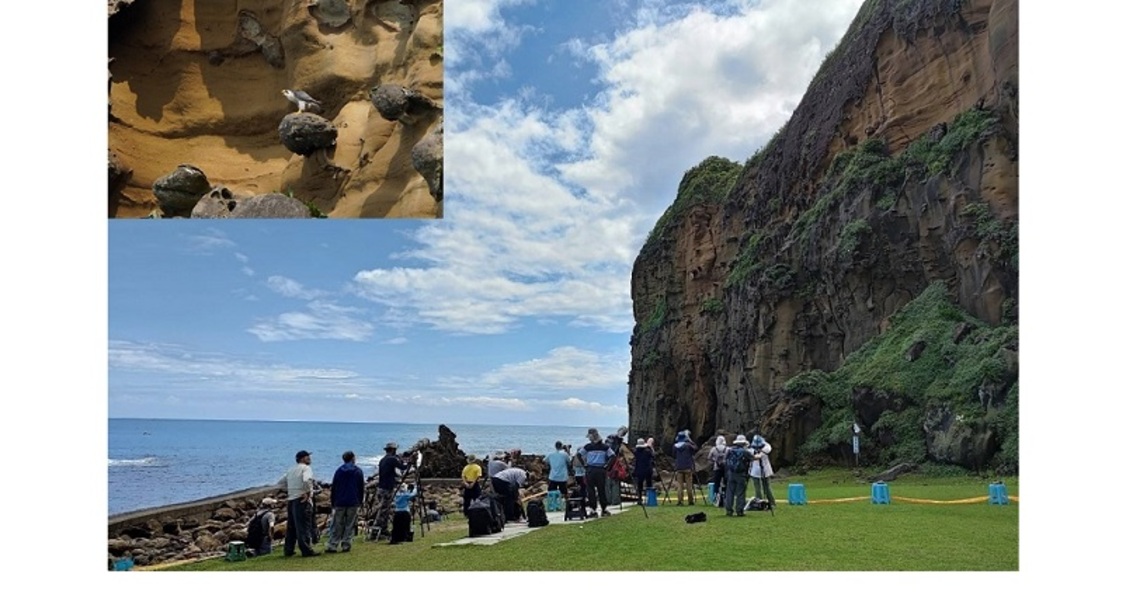 國際生物多樣性日 護遊隼新北3不原則