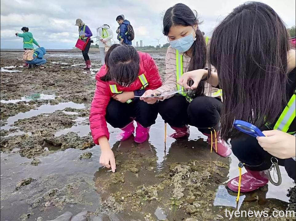 勞動部桃竹苗分署推廣地方特色行程 新屋沿海旅遊玩樂兼做公益 18 A永興 認識豐富藻礁生態
