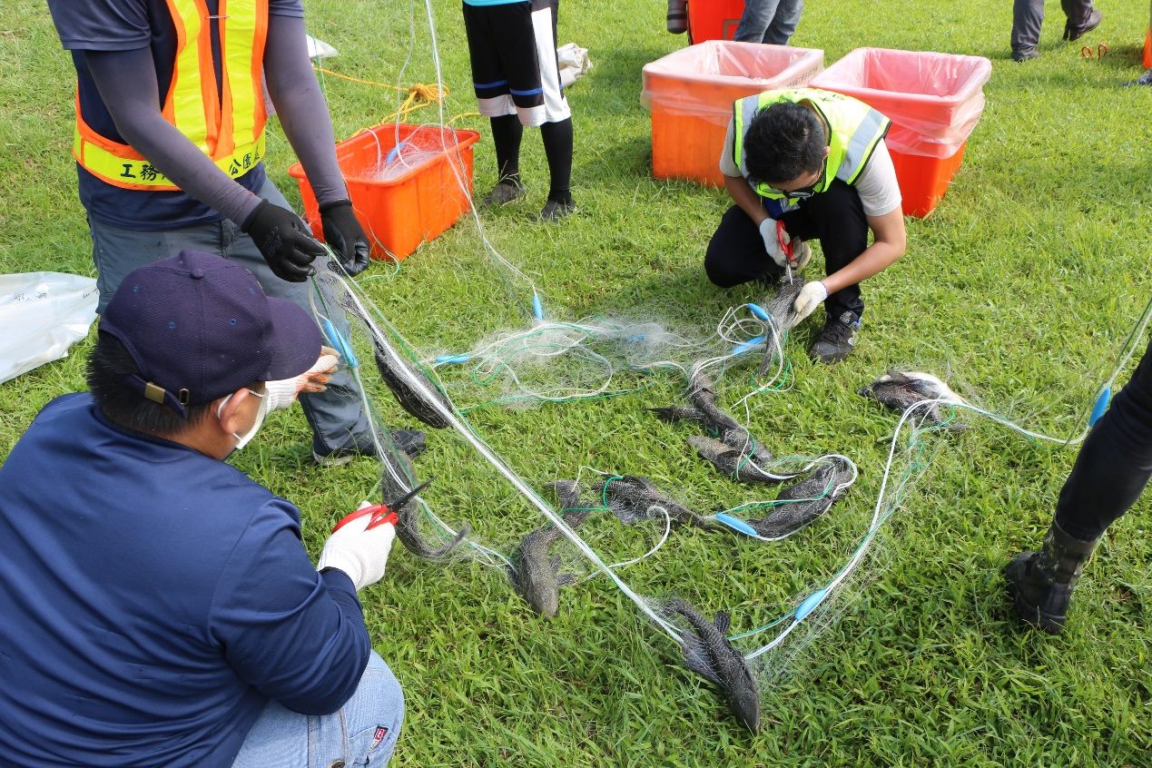 魚你有約對抗外來種 齊心守護大湖、碧湖生態