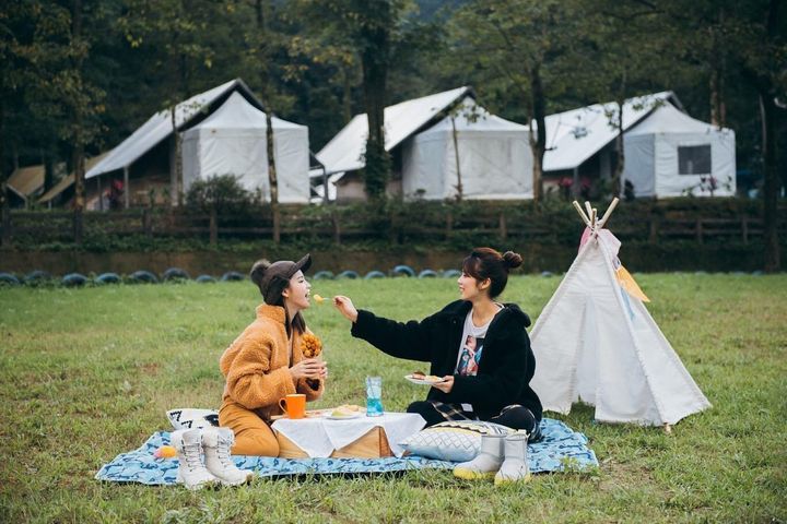 露營正夯!在微光森林中甦醒 全台10大森林裡的豪華營區