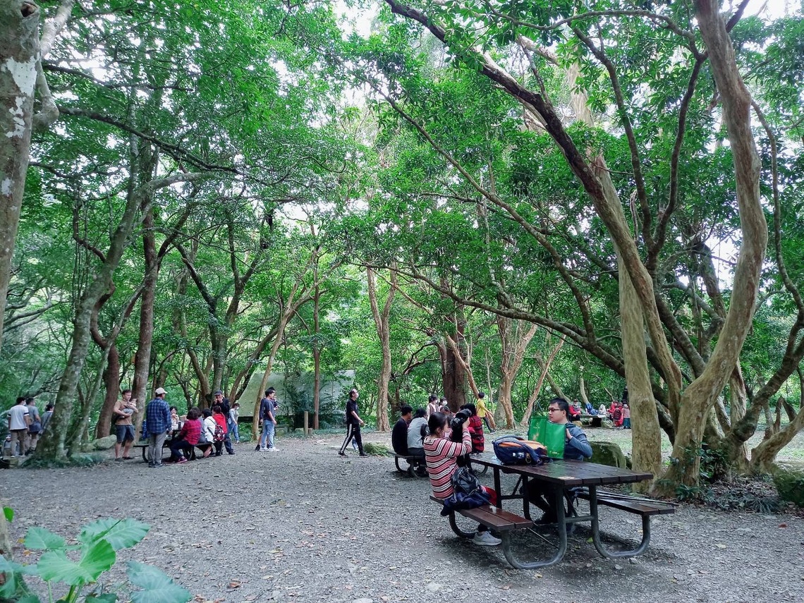 雙流國家森林遊樂區新模式餐飲服務,空間超大,戶外用餐相對安全 /波新聞