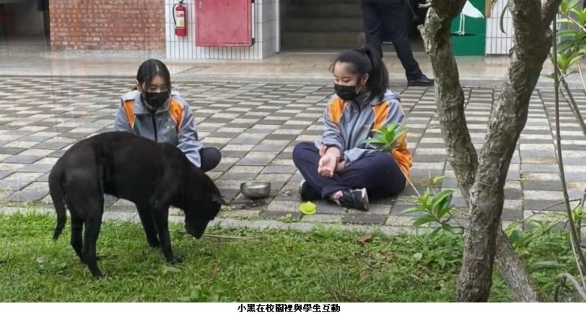 坪林實中認養校園犬 為校園生活添佳話