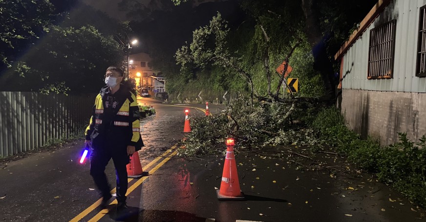 ▲山區連日大雨,豐原東陽路邊坡樹木倒塌橫臥路中,員警深夜中緊急放置交通錐、指揮車輛行駛 (圖/台中豐原分局 提供)