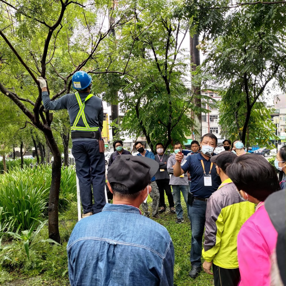111年度屏東縣景觀樹木修剪教育訓練 /波新聞