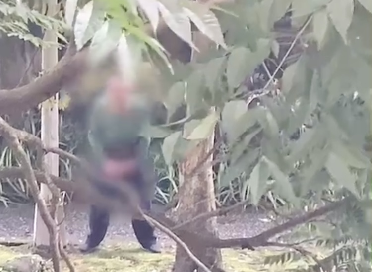 圖片說明:民眾向警方投訴清溪綠地公園出沒一名遛鳥俠。(記者趙靜姸翻攝)