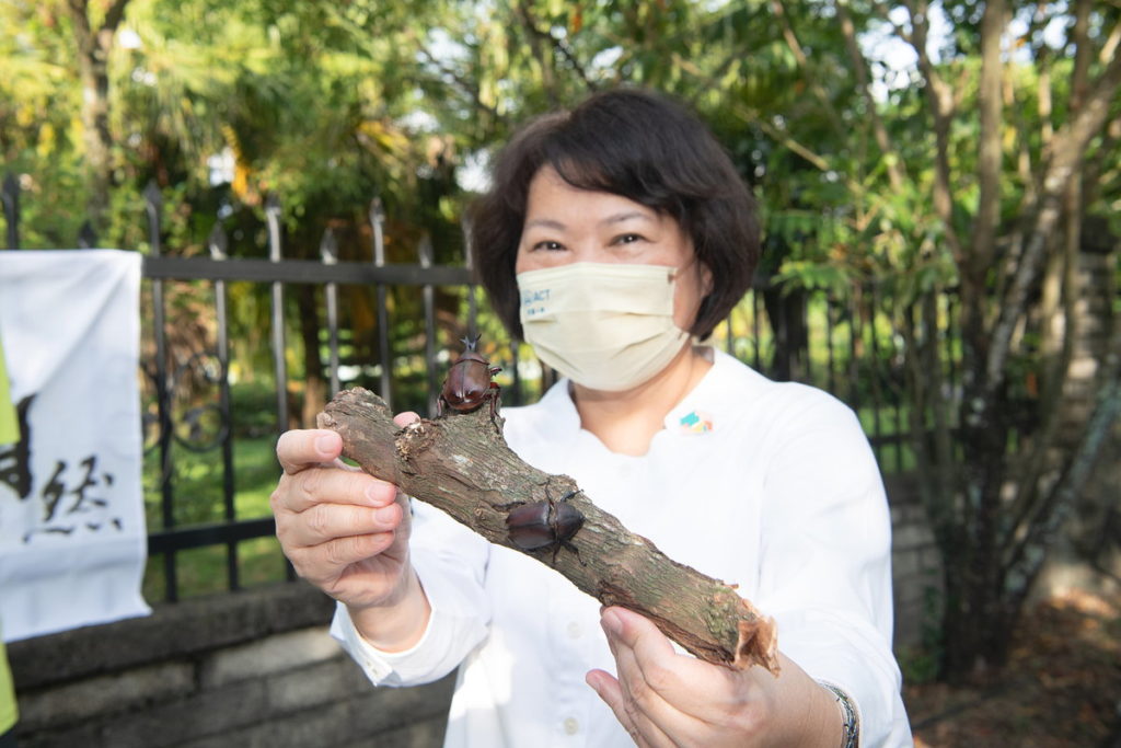 市長與獨角仙