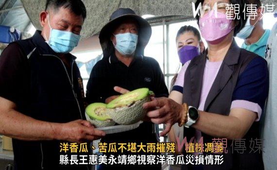 影/豪雨惹的禍!洋香瓜、苦瓜不堪大雨摧殘 植株凋萎、瓜體腐爛