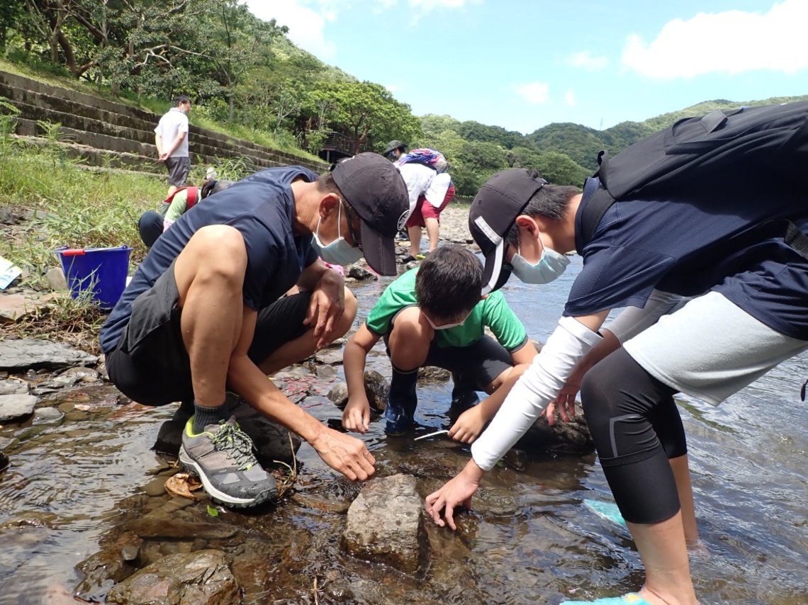 炎炎夏日適宜親水,雙流自然教育中心帶你「鬥陣下水趣」/波新聞
