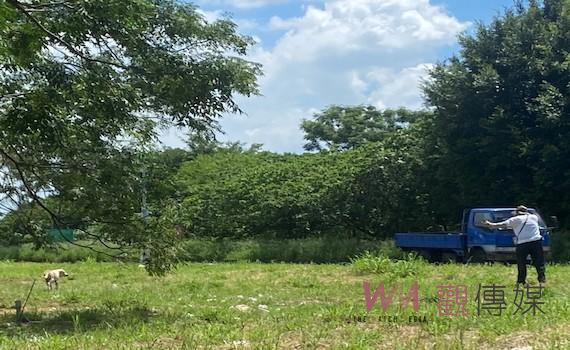 台南公私協力捕流浪犬    許崇洲出錢出力不居功