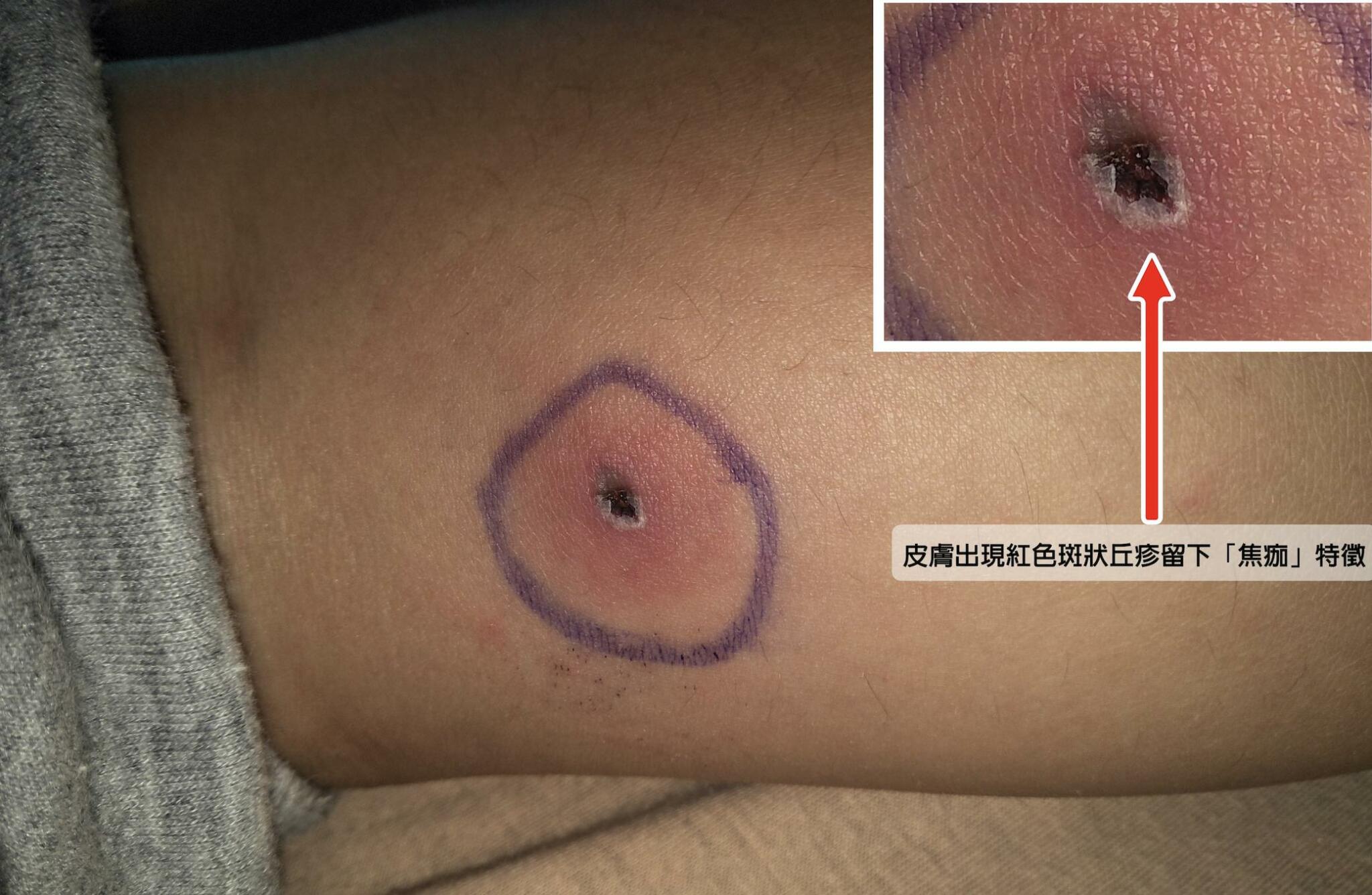 截圖 2022 06 02 上午10.55.01