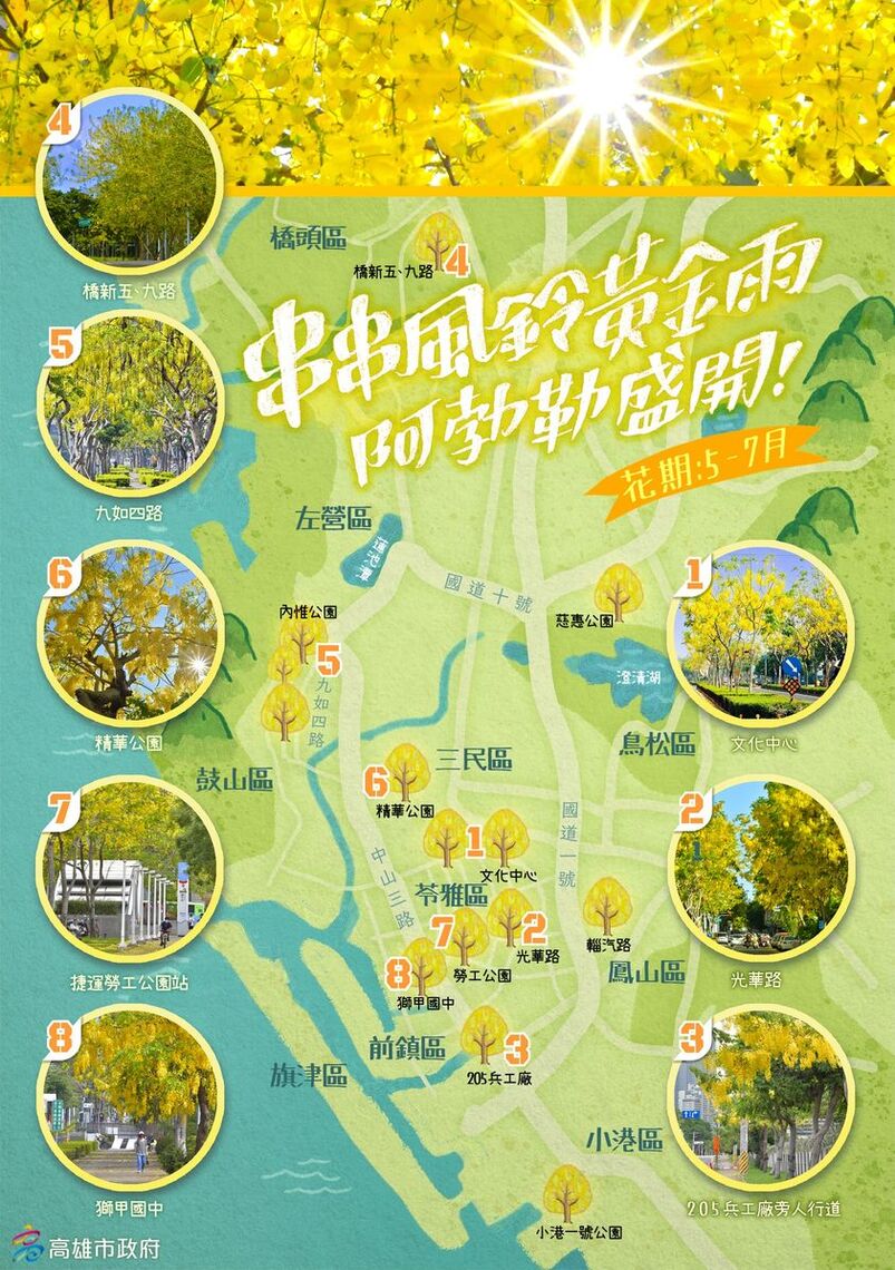 端午連假好去處 高雄八處阿勃勒花海