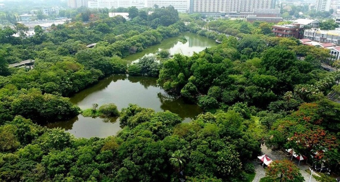 鳥松濕地外環步道整建預計陸續更新 讓你賞鳥觀蝶品生態更easy